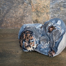 Скульптура с&nbsp;аммонитомАммонит в породе