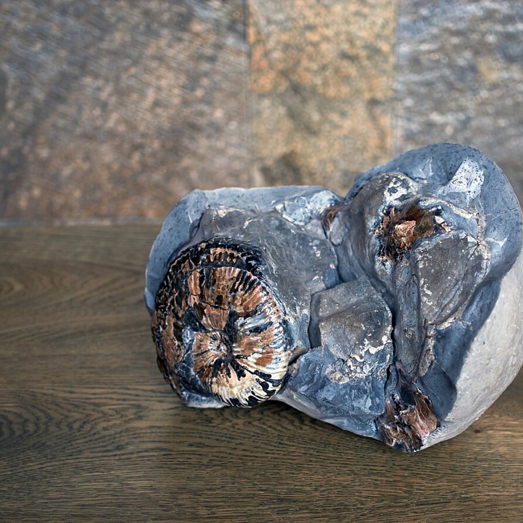 Аммонит в породе - Скульптура с&nbsp;аммонитом