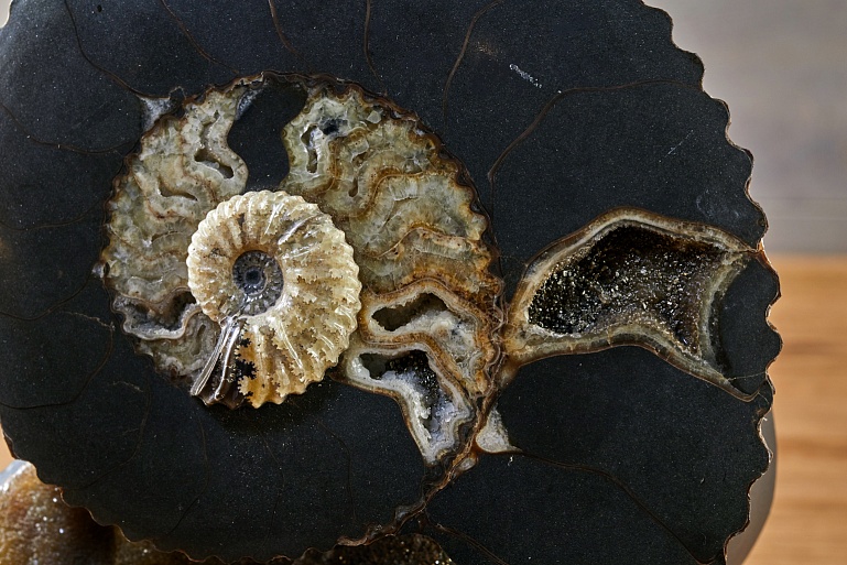 Tiff, aragonite and pyrites