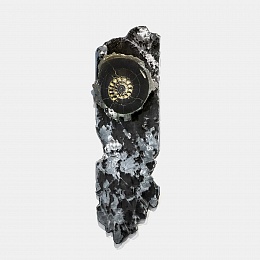 Панно с&nbsp;аммонитомСаксум