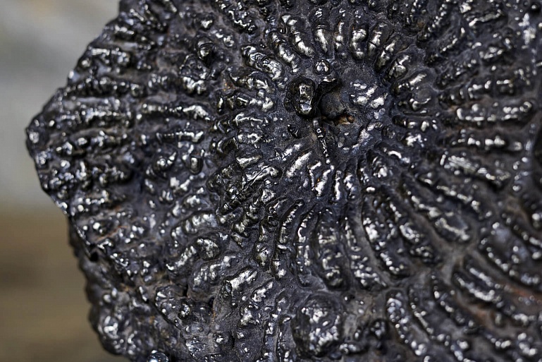 Уникальная фактура