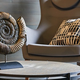 Аммонит - Цельный аммонит