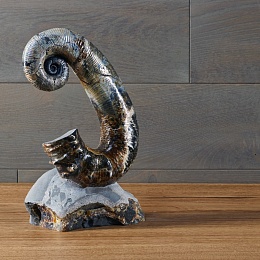 Sculpture with open ammonite Wengor