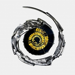 Панно с&nbsp;аммонитомСольель